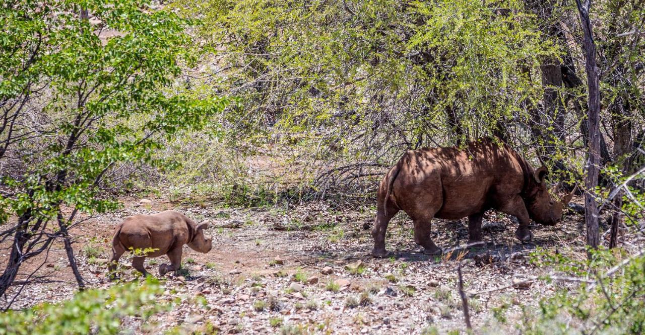 Grootberg Lodge Damaraland Bagian luar foto